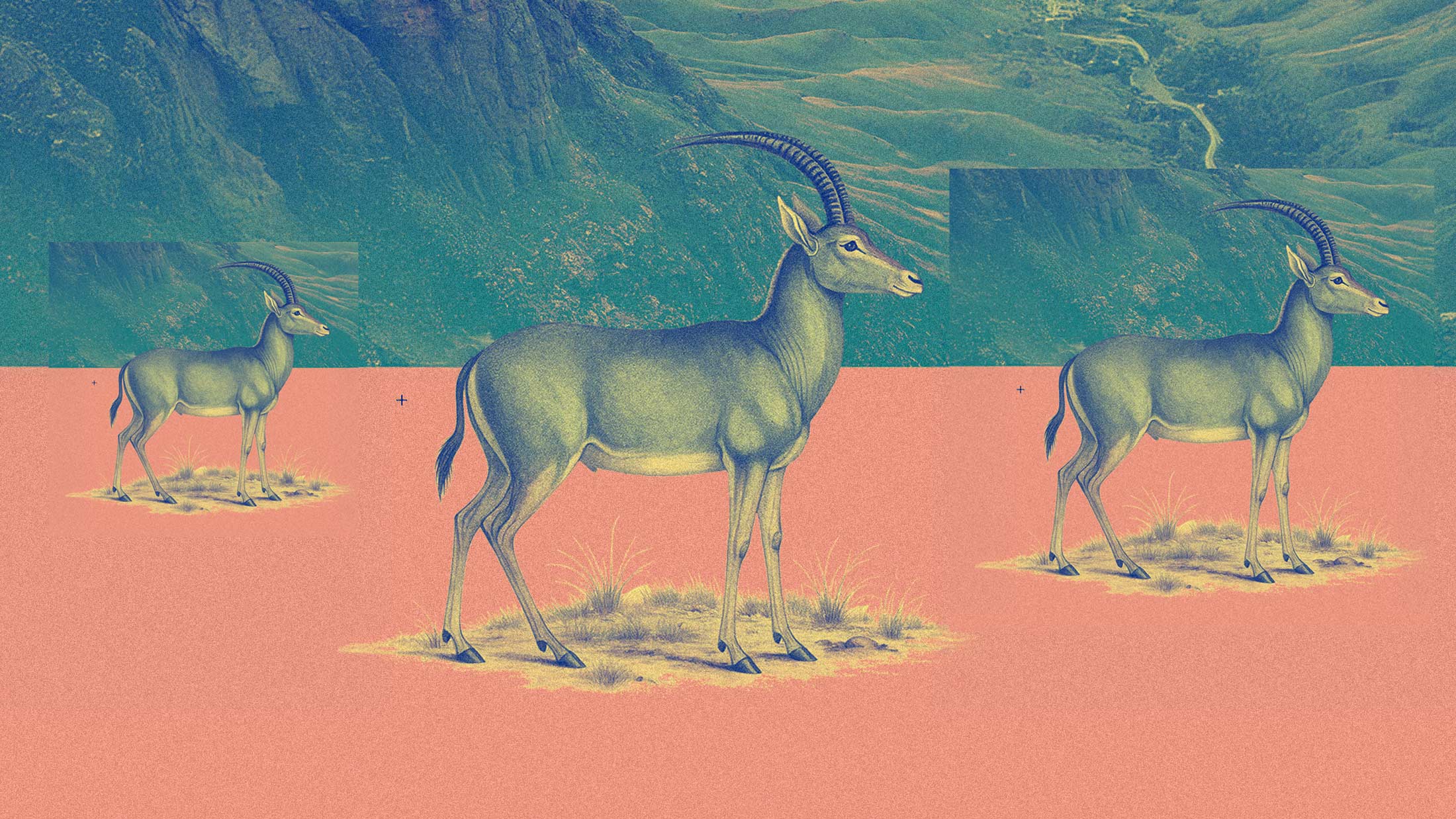 Colossal Biosciences Adds the Bluebuck to Its Growing De-Extinction Portfolio