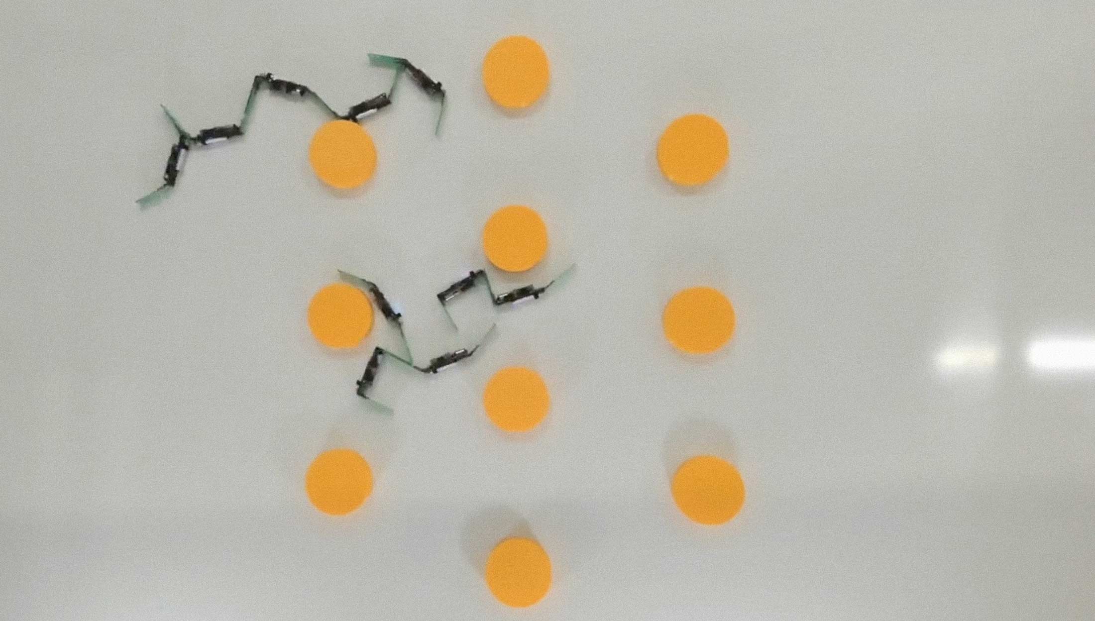 Cornell's Cross-Link Collective Treats Robots Like Flowing Matter, Not Machines