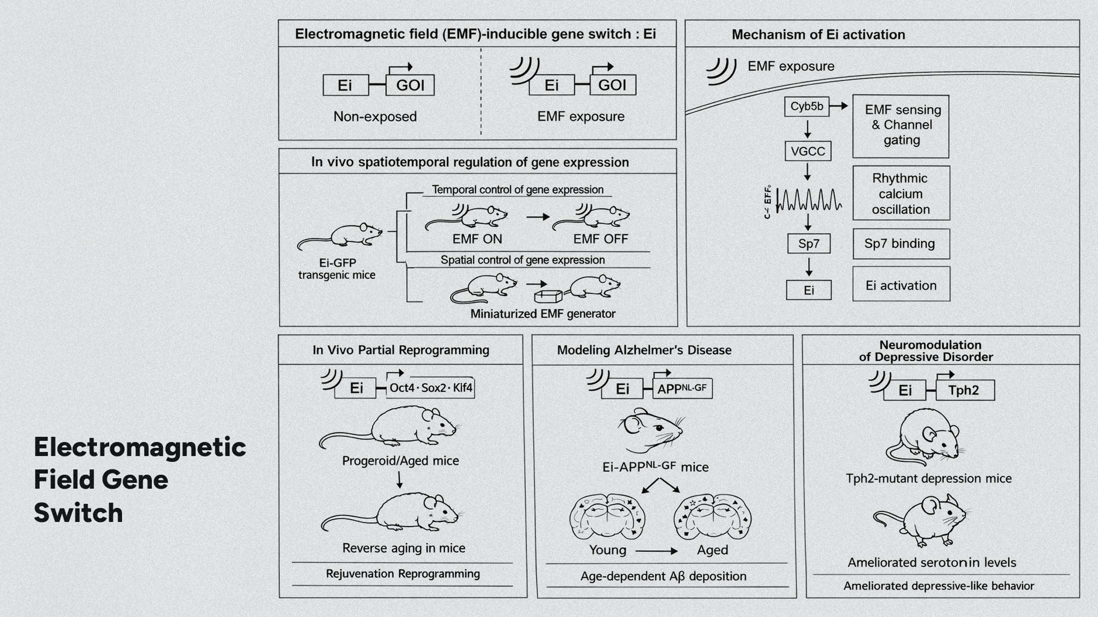 Korean Scientists Built a Gene Switch You Control With Electromagnetic Fields