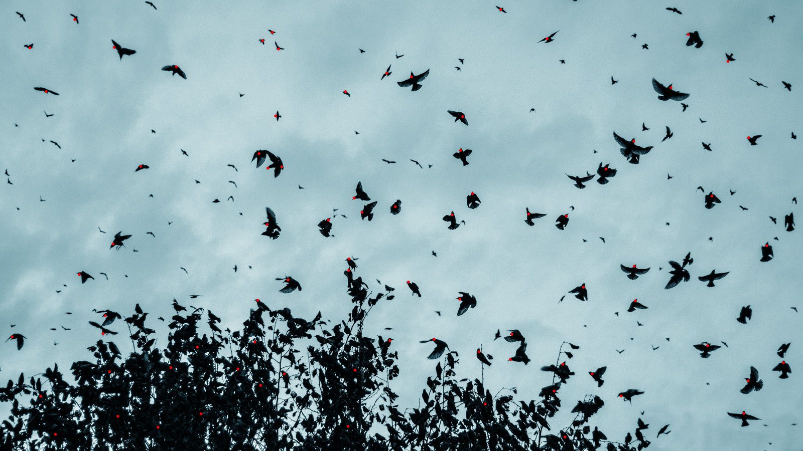 The Drone Sleeper Cells Are Already There