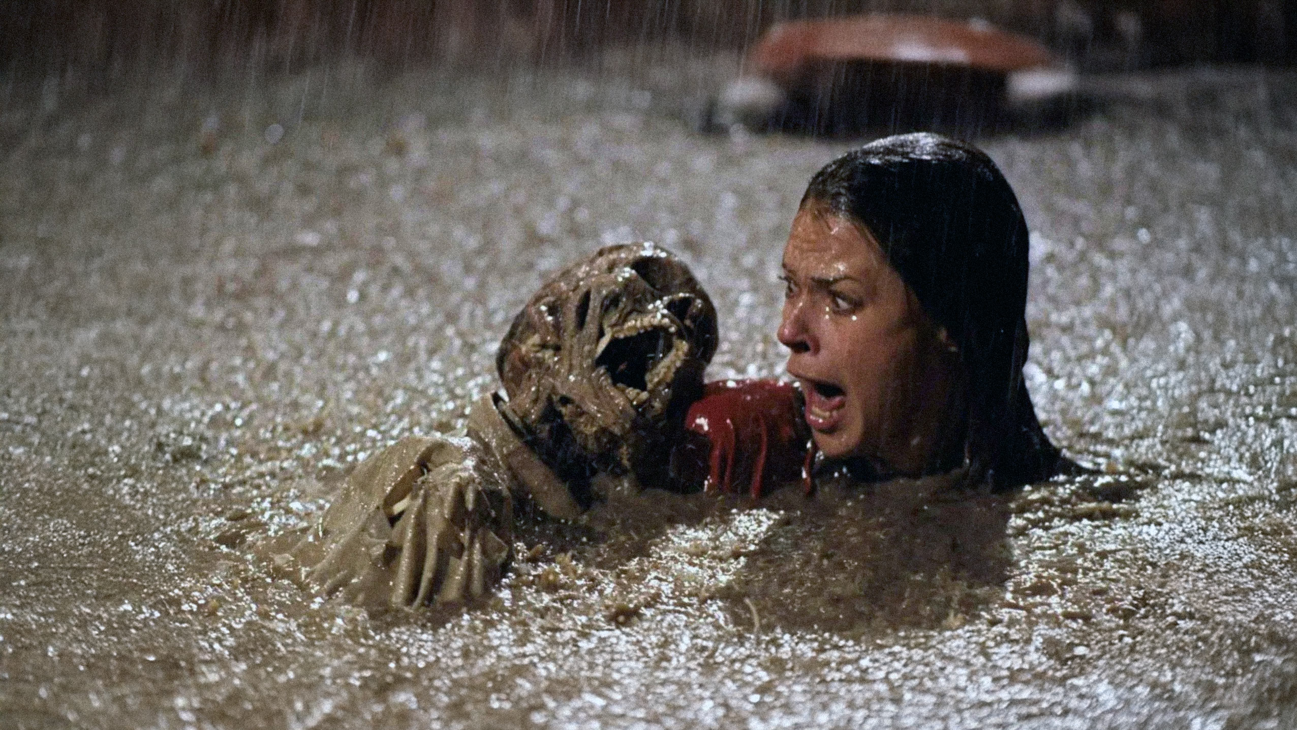 The Dead Internet Was Always a Zombie Internet