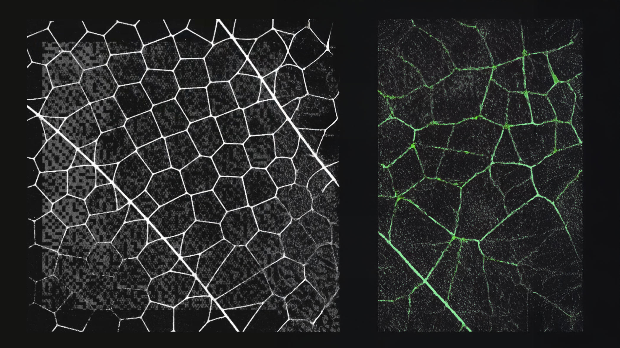 Anthropic Built the Best Bug Hunter in AI. Then Decided Not to Release It.