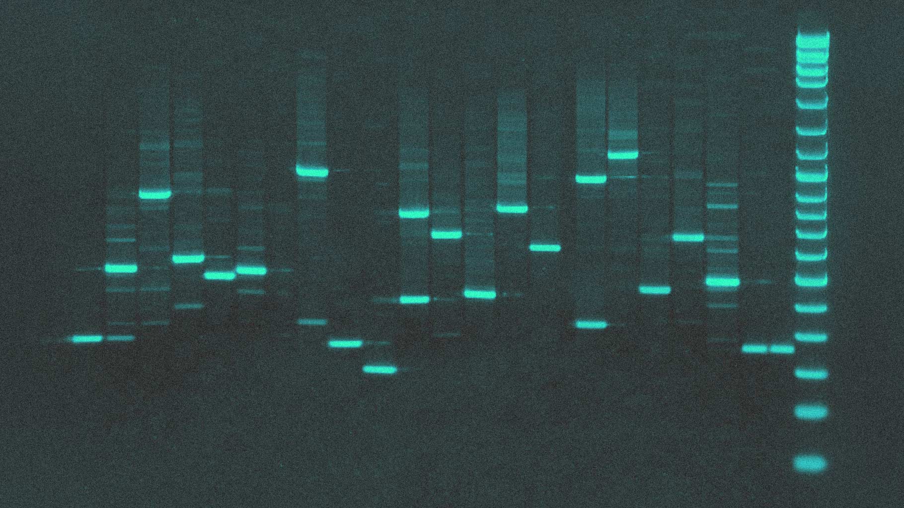DIY DNA: Vibe Genomics Is Turning DNA Mapping Into a Garage Science